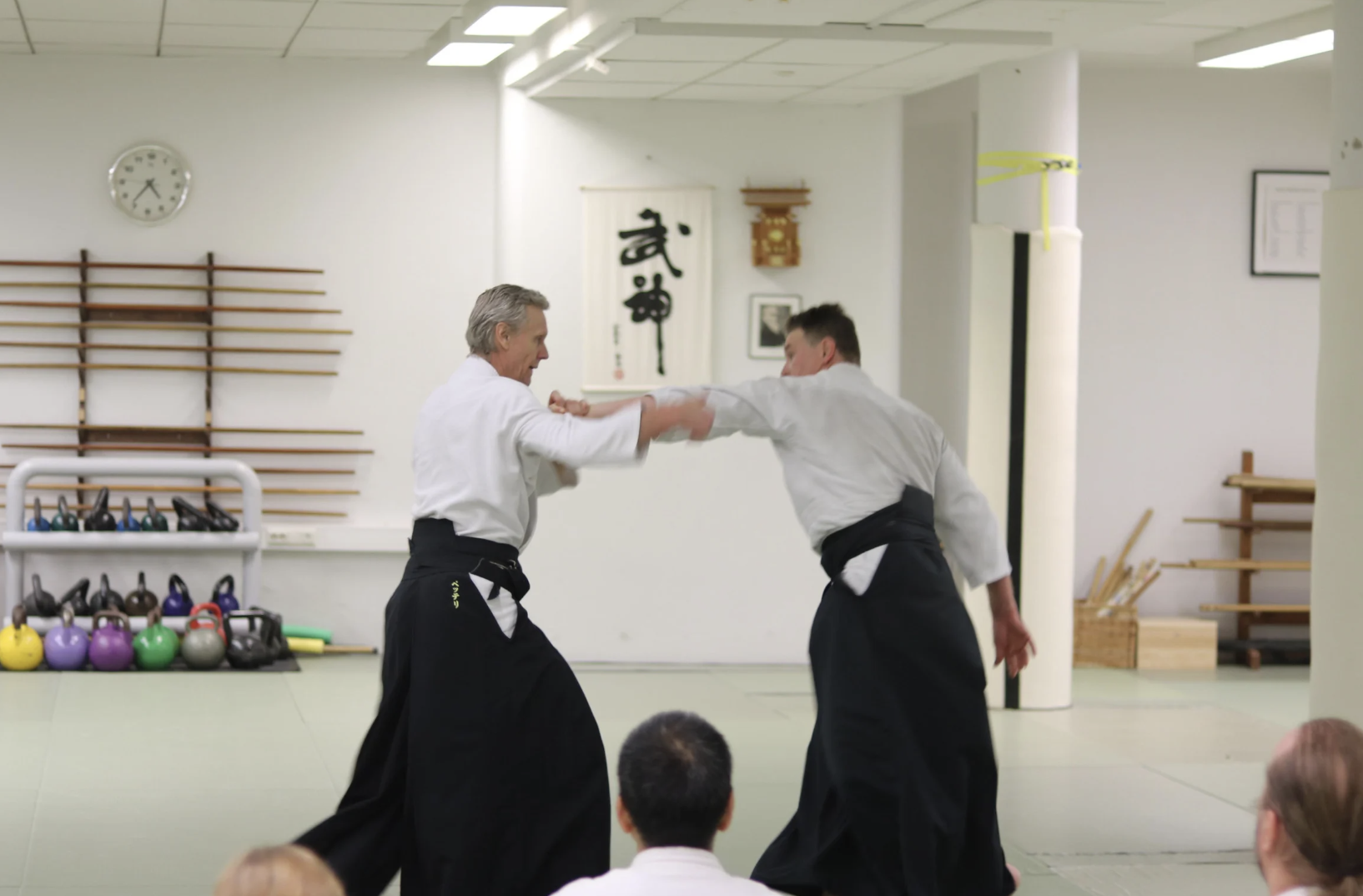 Corso di Aikido principianti a Milano: lezione di prova gratuita con maestri giapponesi